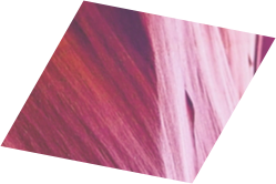 An image for theme purposes